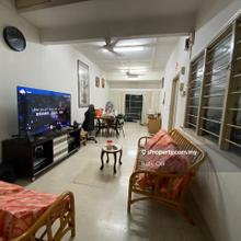 Rare Single Storey with Very Large Attic. Renovated & Extended.