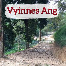 Agriculture Land in Balik Pulau