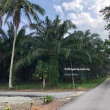 Agriculture land for Sale