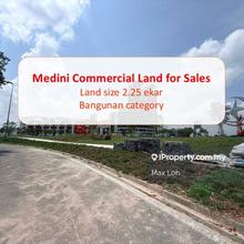 Medini Commercial land for Sales
