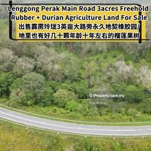 Main Road Rubber plus Durian Agriculture Land For Sale 