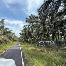 Benut agriculture land for sale