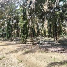 10.4 Acres Oil Palm Agriculture Land @ Layang-Layang, Johor