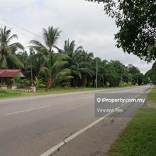 Fifty Two Acres Land Benut Batu Pahat