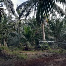 Agriculture zoning industrial land