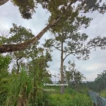 Kluang land for sale main road