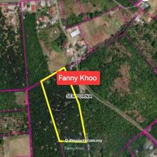 Sempona Land / Residential zoning / Tawau 