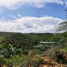 Agriculture land for Sale