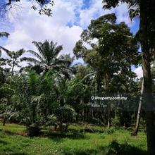 Industrial Land For Sale In Dengkil