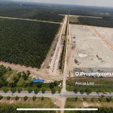Klang pulau carey 46 acres  heavy industrial land for sale.