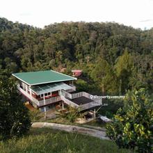 Bungalow With 110 Branded Durian Trees