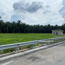 Agriculture land for Rent