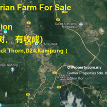 Agriculture land for Sale