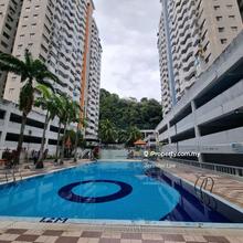 Gambier heights usm gelugor