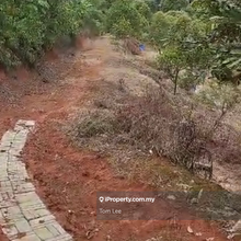 Durian Land Negeri Sembilan Jelebu 