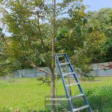 Pahang, Karak, Cinta Manis, Agricultural Land For Sale