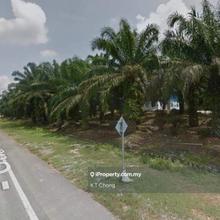 Bidor Development Land for Sale!