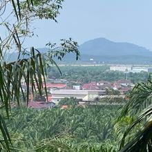 Development land at Pagoh town Johor