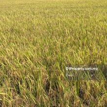 Agriculture land for Sale