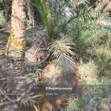 Layang-layang agriculture land for sale