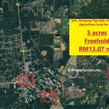 Ijok, Simpang Tiga Ijok, Kota Puteri Agriculture Land for Sale