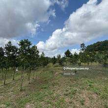 Seelong agriculture land for sale senai