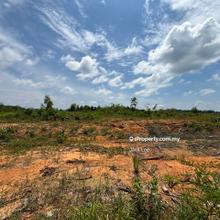 Sedenak Medium Industrial Land For Sale