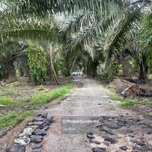 Pontian - Agriculture Land, Near Mainroad, Freehold, 25 Acres