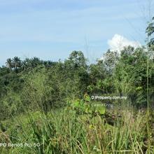 3.5 Agricultural Land For Rent at Jln Sungai Lalang