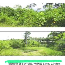 Agriculture flat land near Bentong town