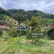 Bentong - Pahang - 9 acres Agricultural land