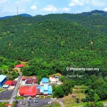 Palm Oil Land Kuala Pilah Negeri Sembilan