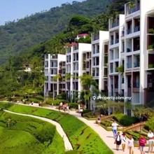 Last Freehold New Villa Project in Desa Sri Hartamas