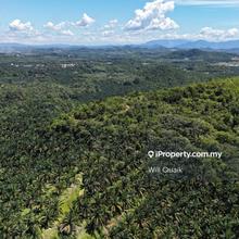 Agricultural Land For Sale in Baling Kedah near Kuala Ketil Tawar