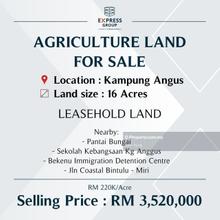 Agriculture Land at Kampung Angus