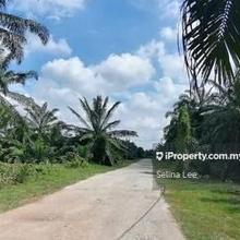 Agriculture land for Sale