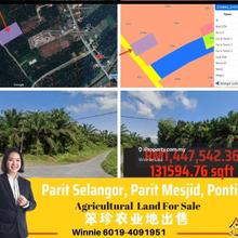 Parit Mesjid, Agricultural Land, Parit Selangor, Pontian, 