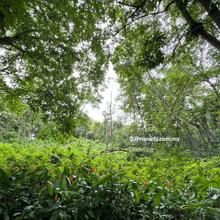 Damansara Country Heights, Bungalow Land for Sale