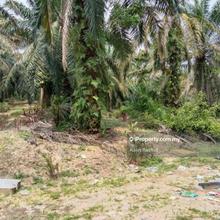 Below Market 7 Acres Agricultural Land Pekan Salak, Sepang