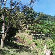 Industrial land for Sale