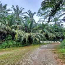 Cheap Agriculture land for Sale @ Teluk Panglima Garang, Klang