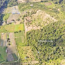 5.71 Acre Semenyih Tmn Tasik Semenyih Freehold Agricultural Land
