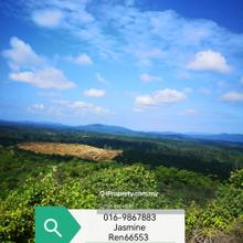 Ulu Neggiri Palm Land