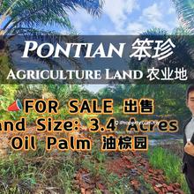 Pontian Oil Palm Land For Sale 