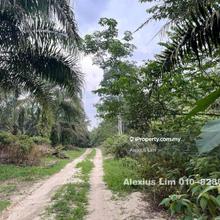 For Sale Agriculture Land @ Housing Zone, Ulu Tiram
