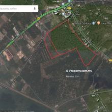 Big Agriculture Land For Sale @ Kukup (Kampung Permas Besar)