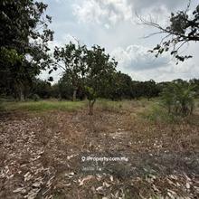 Pontian pekan nanas jeram batu agriculture land for sale