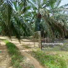 Simpang Durian, Negeri Sembilan Agriculture Land Freehold For Sale