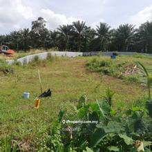 Broga freehold land for sale