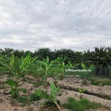 Agriculture land for Sale
